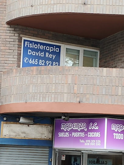 foto de fisio ALFASALUD Centro de Fisioterapia David Rey en Zaragoza - Zaragoza