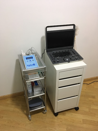 foto de fisio Artemis Fisioterapia S.L en San Agustín del Guadalix - Madrid