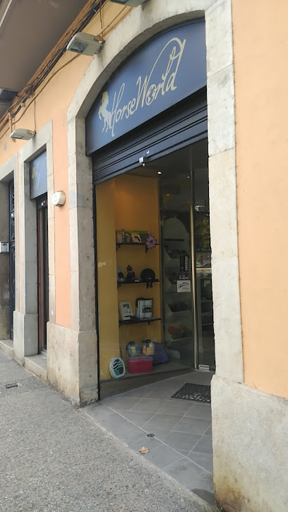 foto de fisio FISIO SPORT en Girona - Girona