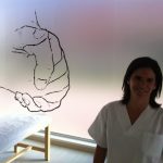 foto de fisio Fisiomas en Murcia - Murcia