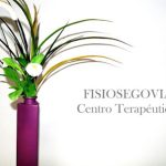 foto de fisio Fisiosegovia en Segovia - Segovia