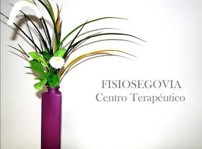 foto de fisio Fisiosegovia en Segovia - Segovia