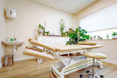 foto de fisio Fisioterapia Integrativa David Martín en Toledo - Toledo