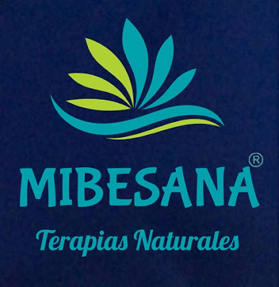 foto de fisio MIBESANA Terapias Naturales en Segovia - Segovia